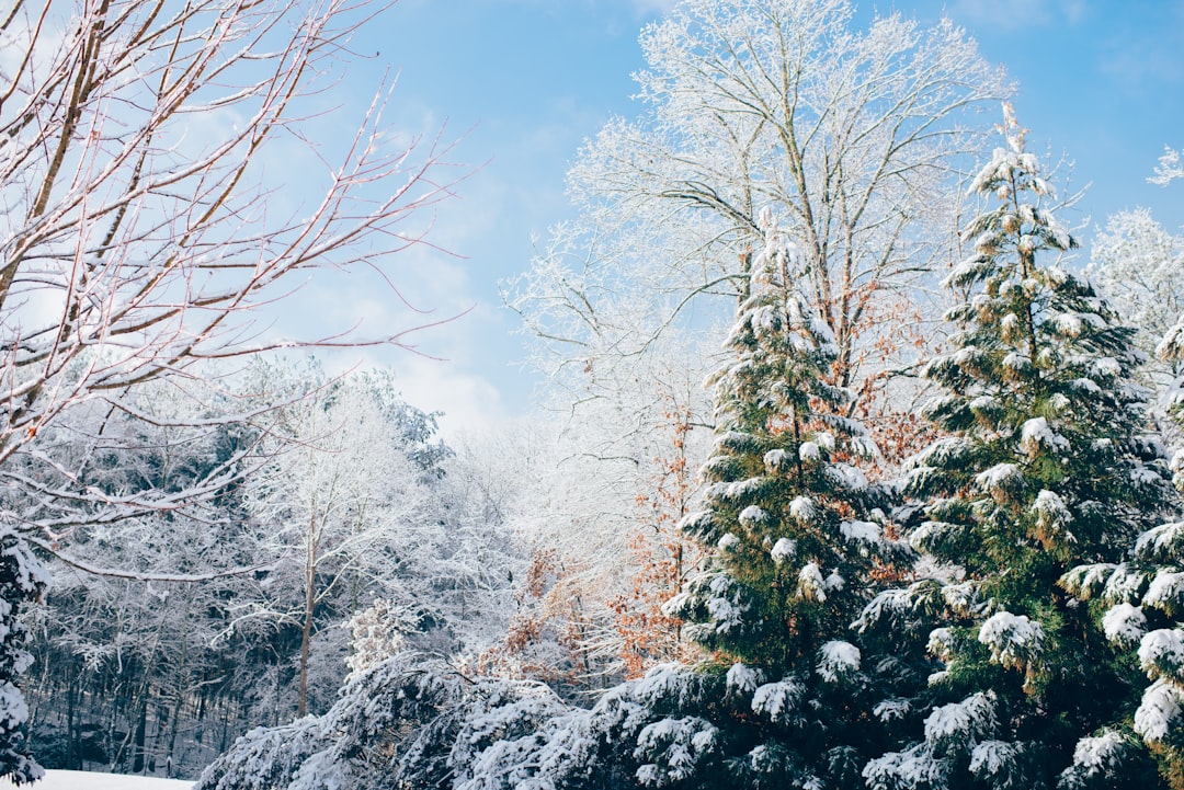 Photo Slackline: winter, equipment, tips Image: Winter slackline gear