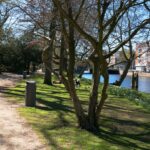 Photo Urban park