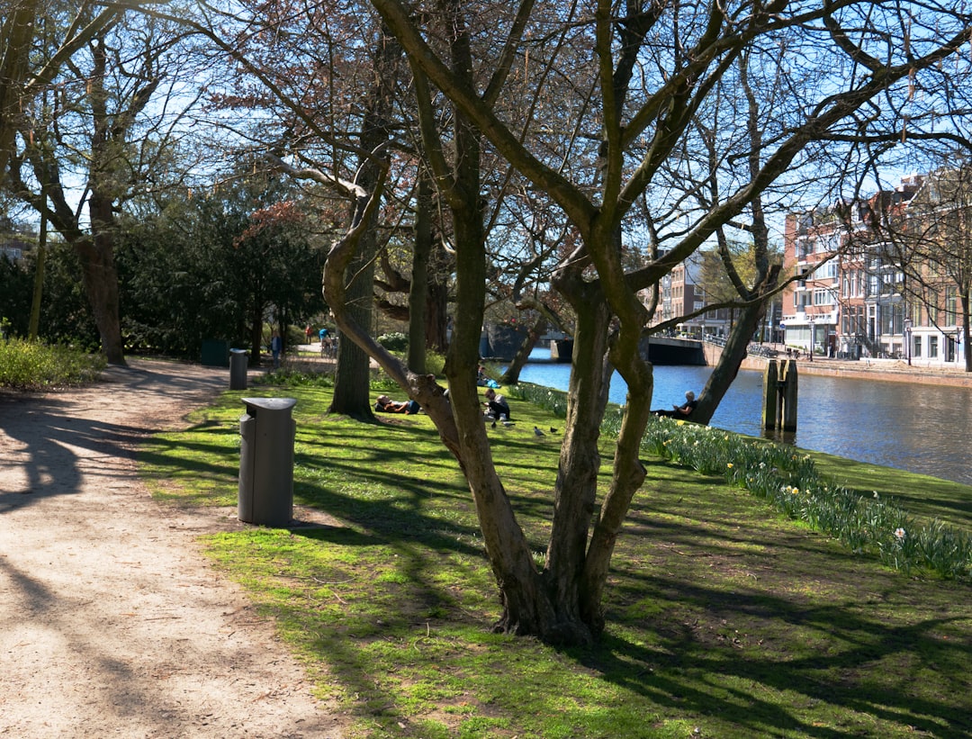 Photo Urban park